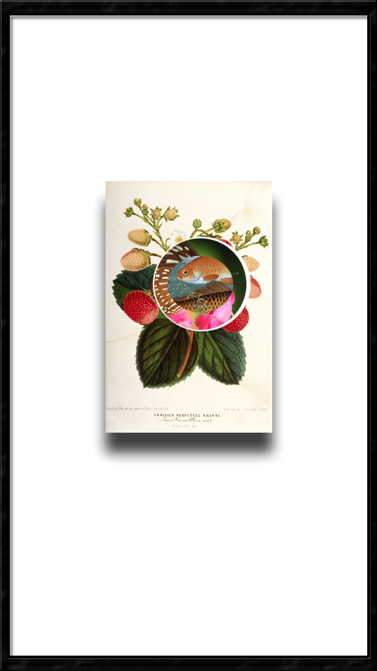 all the young girls protested the killing of trixie & minxie