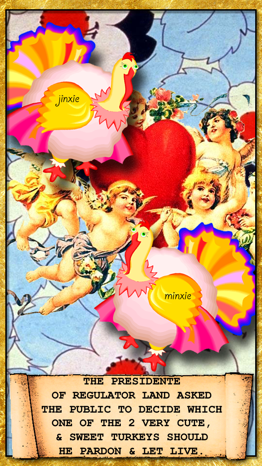 trixie & minxie were really cute turkeys